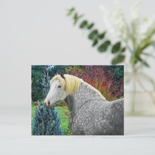 "Odin" Briefkaart (Staand voorkant)