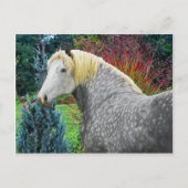 "Odin" Briefkaart (Voorkant)