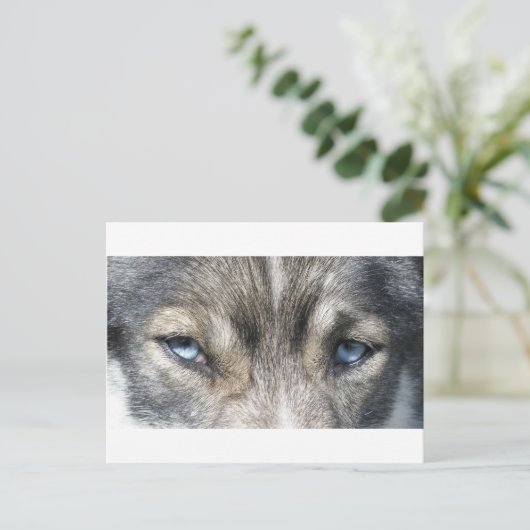 Odins Augen Briefkaart (Staand voorkant)