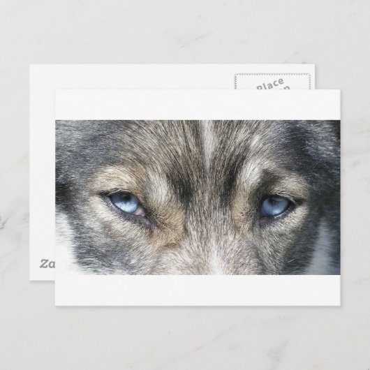 Odins Augen Briefkaart (Voorkant / Achterkant)