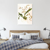 Odontoglossum Hastatum Canvas Afdruk (Insitu (Slaapkamer))
