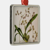 Odontoglossum Hastatum Metalen Ornament (Rechts)