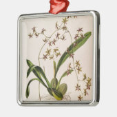 Odontoglossum Hastatum Metalen Ornament (Links)