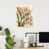  Odontoglossum Orchidee Flower Poster (Thuiskantoor)