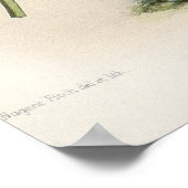 Odontoglossum Vexillarium Orchid Poster (Hoek)