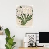 Odontoglossum Vexillarium Orchid Poster (Thuiskantoor)