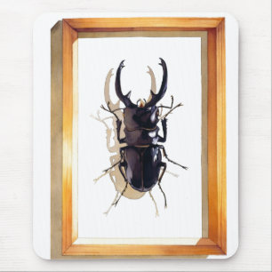 "Odontolabis d. subita" Waterverf Stag Beetle Muismat