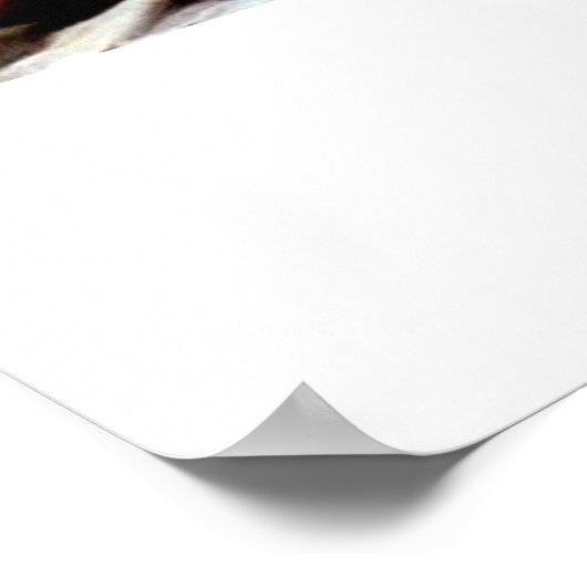 Odysseus en Penelope van Francesco Primaticcio Poster (Hoek)