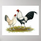 OE Game Blue Silver Wheaten Poster (Voorkant)