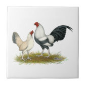 OE Game Blue Silver Wheaten Tegeltje (Voorkant)