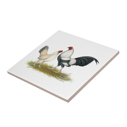 OE Game Blue Silver Wheaten Tegeltje (Zijkant)