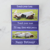 Oefenen Basset Hound op Funny Birthday Kaart (Binnen)