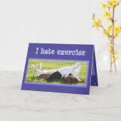 Oefenen Basset Hound op Funny Birthday Kaart (Gele Bloem)