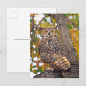 Oehoe Briefkaart (Voorkant / Achterkant)