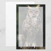 Oehoe (Bubo virginianus), volledig lichaam Briefpapier (Voorkant / Achterkant)