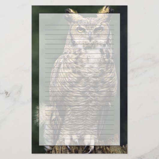 Oehoe (Bubo virginianus), volledig lichaam Briefpapier (Voorkant)