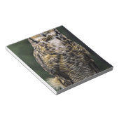 Oehoe (Bubo virginianus), volledig lichaam Notitieblok (Schuin)