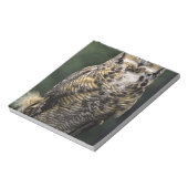 Oehoe (Bubo virginianus), volledig lichaam Notitieblok (Linkerzijde)