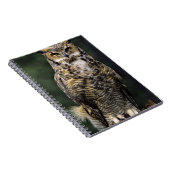 Oehoe (Bubo virginianus), volledig lichaam Notitieboek (Rechterzijde)