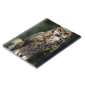 Oehoe (Bubo virginianus), volledig lichaam Notitieboek (Linkerzijde)