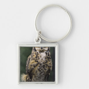 Oehoe (Bubo virginianus), volledig lichaam Sleutelhanger
