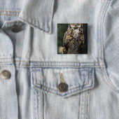 Oehoe (Bubo virginianus), volledig lichaam Vierkante Button 5,1 Cm (In situ)