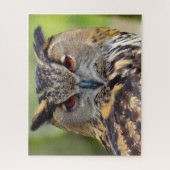Oehoe-Roofvogel. Legpuzzel (Verticaal)