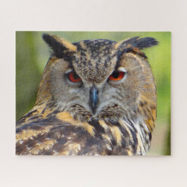 Oehoe-Roofvogel. Legpuzzel
