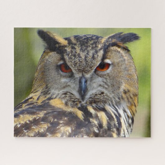 Oehoe-Roofvogel. Legpuzzel (Horizontaal)