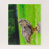 Oehoe-Roofvogel. Legpuzzel (Verticaal)