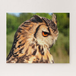 Oehoe - Roofvogels. Legpuzzel