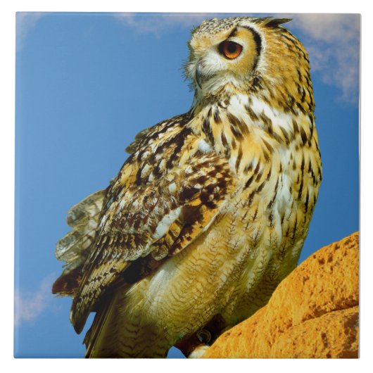 Oehoe Tegeltje (Voorkant)
