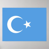 Oeigoer/Oost-Turkestan Poster (Voorkant)