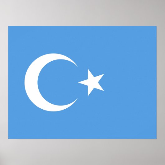 Oeigoer/Oost-Turkestan Poster (Voorkant)