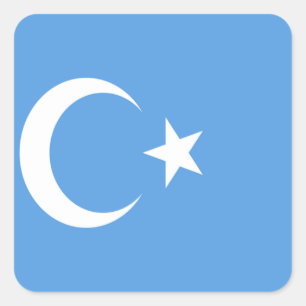 Oeigoerse vlag Oost-Turkestan Vierkante Sticker