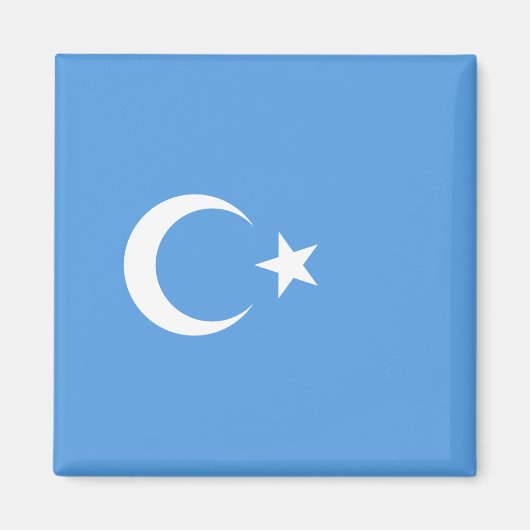 Oeigoerse vlag van Oost-Turkistan (Oeigoer) Magneet (Voorkant)