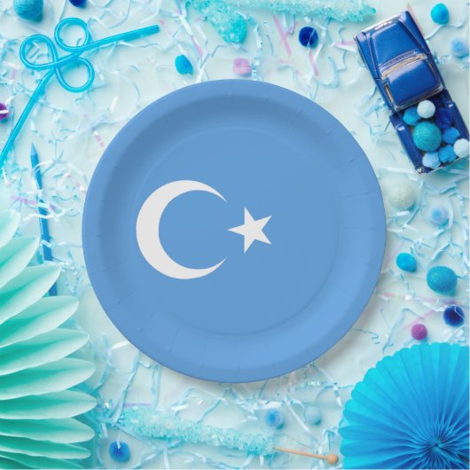 Oeigoerse vlag van Oost-Turkistan (Oeigoer) Papieren Bordje (Feest)