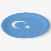 Oeigoerse vlag van Oost-Turkistan (Oeigoer) Papieren Bordje (Gekanteld)