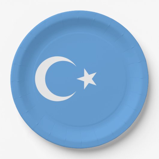 Oeigoerse vlag van Oost-Turkistan (Oeigoer) Papieren Bordje (Voorkant)