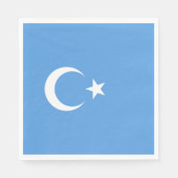 Oeigoerse vlag van Oost-Turkistan (Oeigoer)