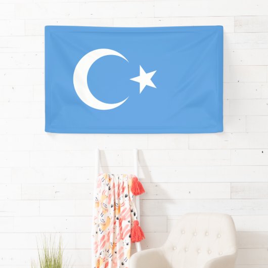 Oeigoerse vlag van Oost-Turkistan (Oeigoer) Spandoek (Insitu)