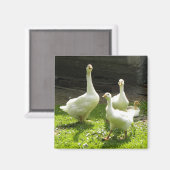 Oekraïens Magneet (Voorkant / Achterkant)