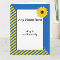 Oekraïense Birthday