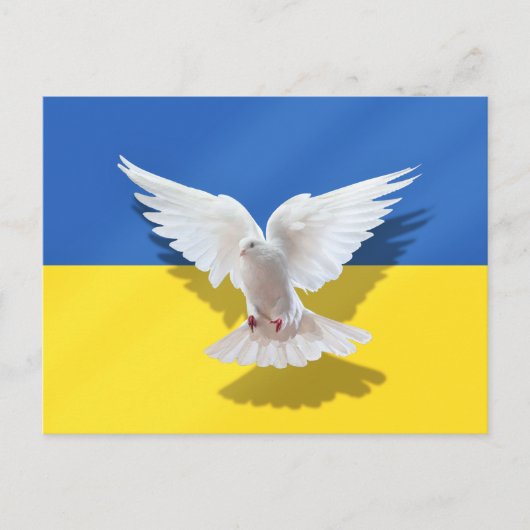 Oekraïense vlag Briefkaart Peace Dove ondersteunt  (Voorkant)