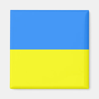 Oekraïense vlag magneet