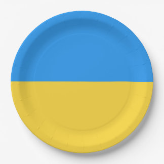 Oekraïense vlag papieren bordje
