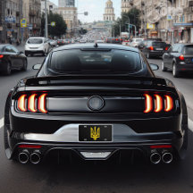 Oekraïense vlag Symbool Volodymyr Zelensky Oekraïe