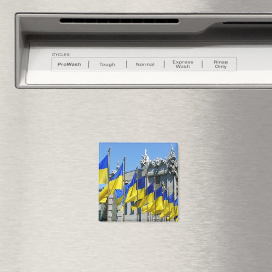 Oekraïense vlaggen magneet (Insitu (Vaatwasser))