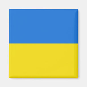 Oekraïne Flag Magnet