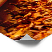 Oekraïne Forest Railway Tunnel of Love Landscape Poster (Hoek)